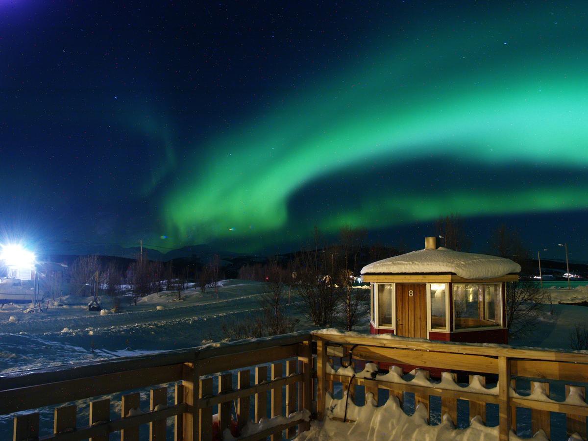 Vikran Vacation: Sea Fishing And Northern Lights Exterior foto