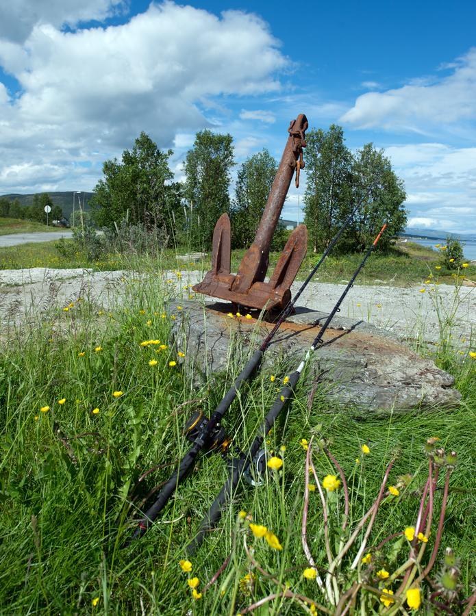 Vikran Vacation: Sea Fishing And Northern Lights Exterior foto