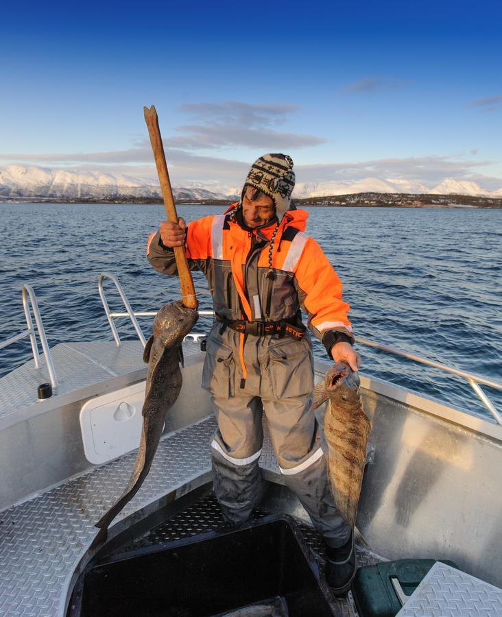 Vikran Vacation: Sea Fishing And Northern Lights Exterior foto
