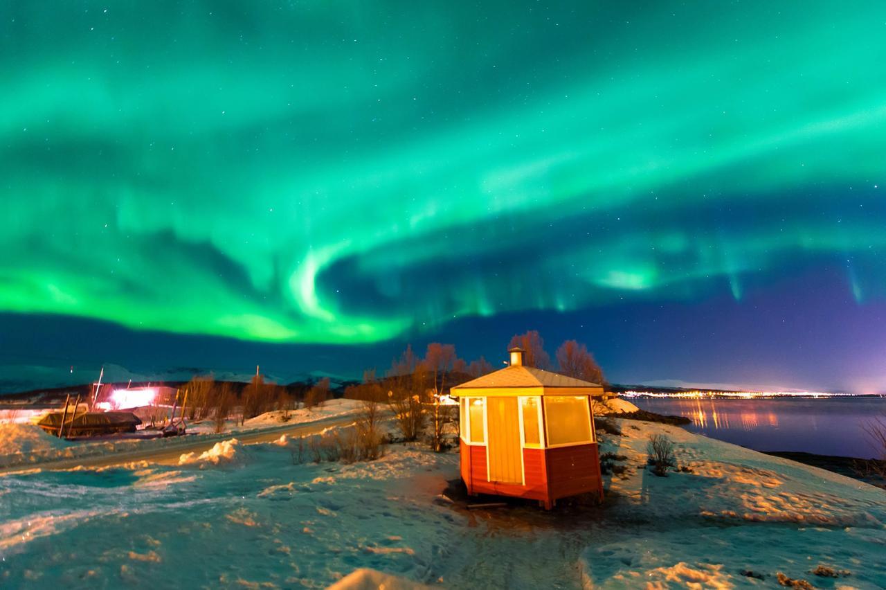 Vikran Vacation: Sea Fishing And Northern Lights Exterior foto